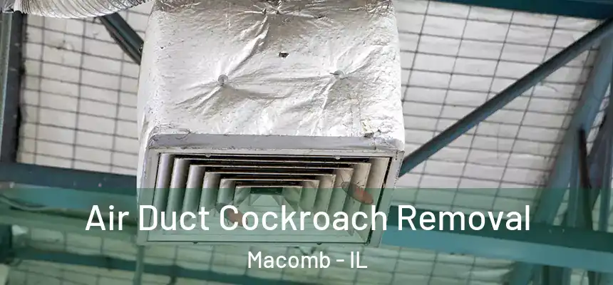  Air Duct Cockroach Removal Macomb - IL