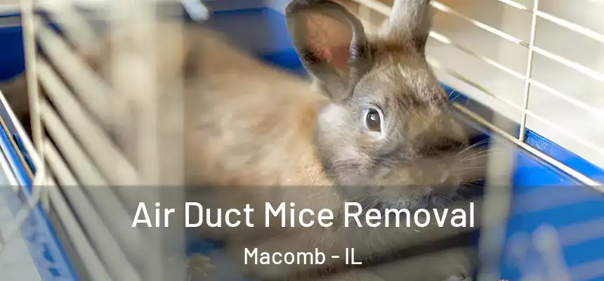 Air Duct Mice Removal Macomb - IL