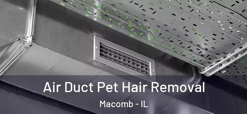  Air Duct Pet Hair Removal Macomb - IL