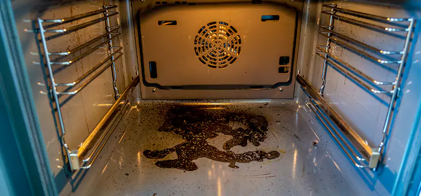 Our Dryer Vent Mold Cleaning Services in Macomb, IL