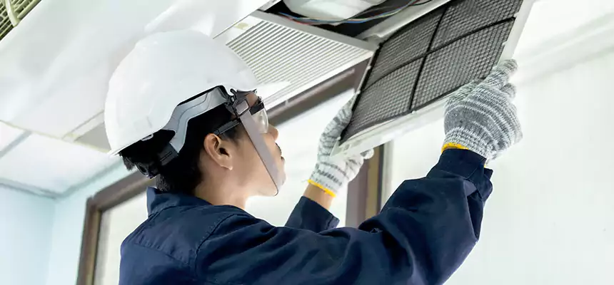 Our Mold & Mildew Removal from Air Ducts Services in Macomb, IL