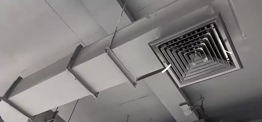 Our Pest Removal From Ducts Services in Macomb, IL