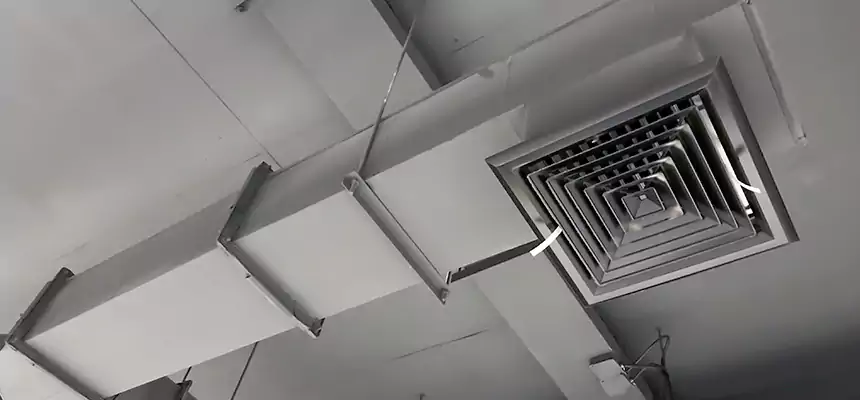 Our Rodent Droppings In Vents Services in Macomb, IL