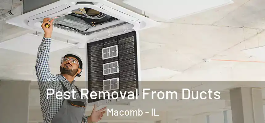 Pest Removal From Ducts Macomb - IL