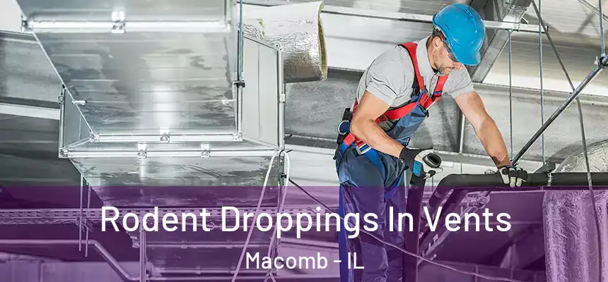  Rodent Droppings In Vents Macomb - IL