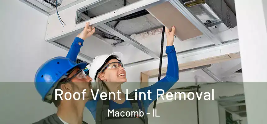Roof Vent Lint Removal Macomb - IL