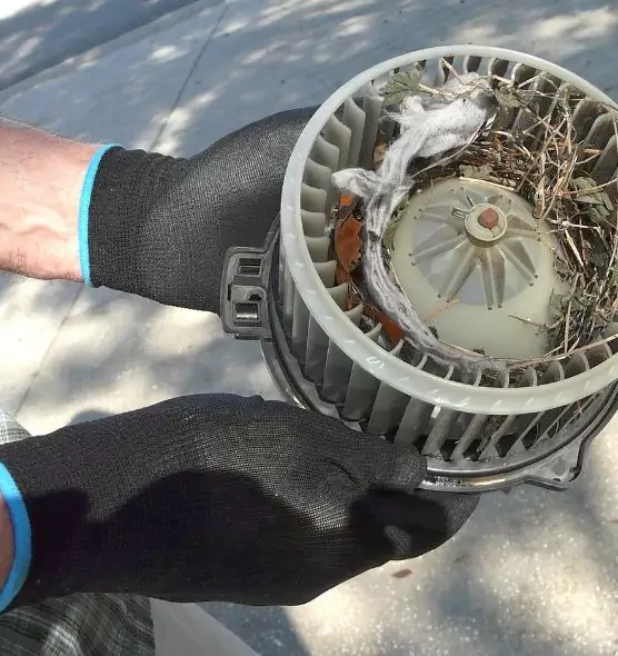 About Air Duct Rat Removal in Macomb, IL