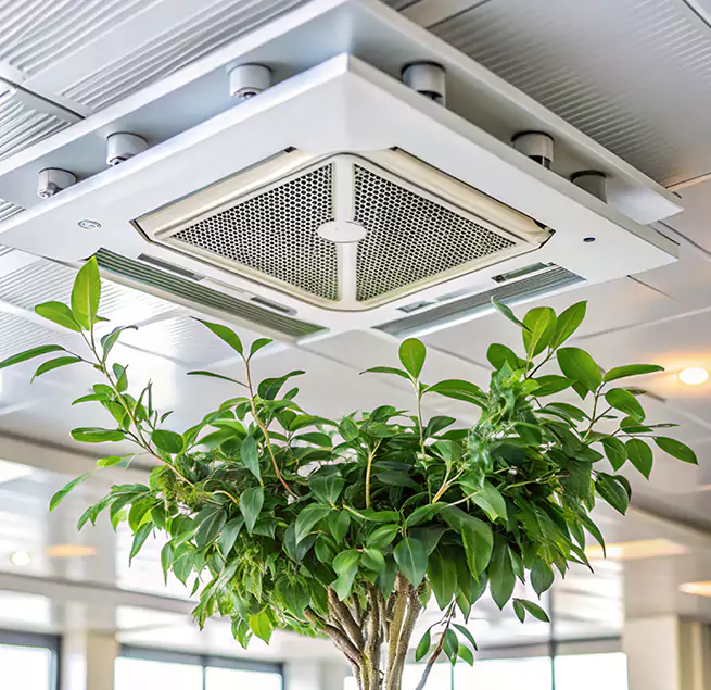 Why Homeowners & Businesses Trust Us in Macomb, IL?